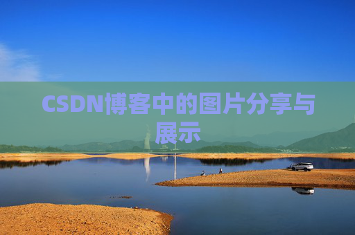 CSDN博客中的图片分享与展示